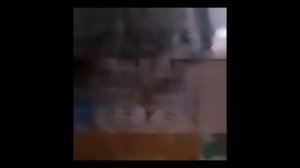 Коллаба с кактусом