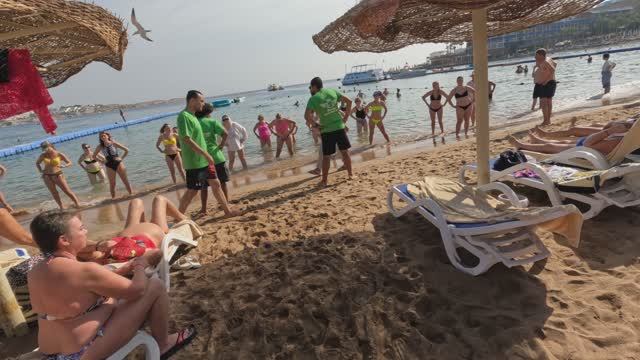 Египет 2026. Новогодний отпуск. смотреть онлайн