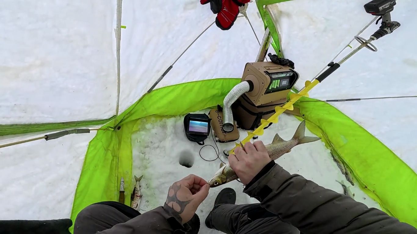 Рыбалка на сига в удачном месте. смотреть онлайн