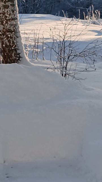 1000051440.mp4 смотреть онлайн