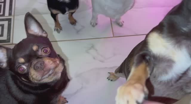 Вкусненько и полезненько, все полакомились.