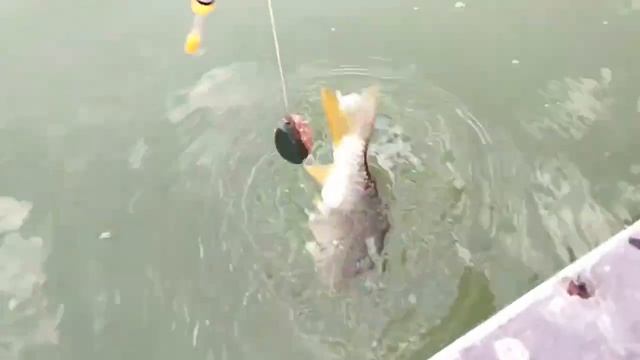 Рыбалку на удалёнке придумали в Казахстане смотреть онлайн