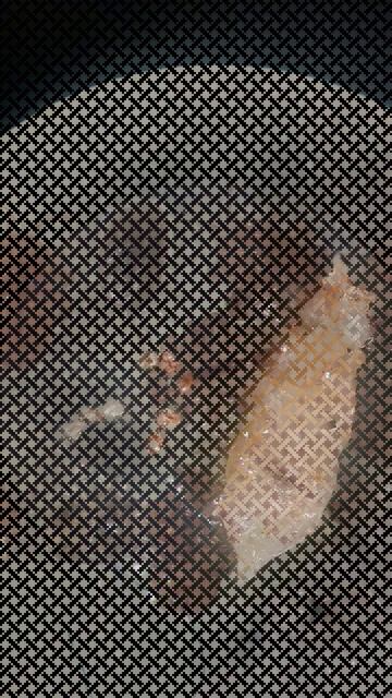 ТРОПИ МОЖНО УНИЧТОЖАТЬ ПРЯМО В УЛЬЕ БЕЗ ХИМИИ