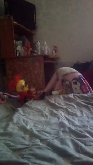 петрушка вопросы