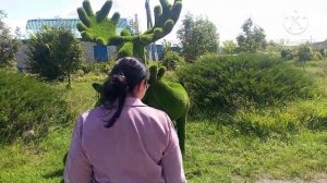 Курская область, Мантуровский район, село 2-е Засеймье (2025)