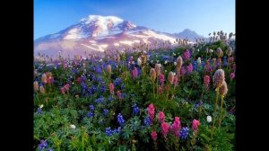 Как хорош этот мир