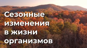 Сезонные изменения в жизни организмов. 5 класс.
