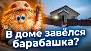 В доме завёлся Барабашка? Рано радовались!