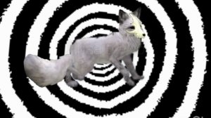 МОЯ ПЕРВАЯ АНИМАЦИЯ ПО WILDCRAFT!!!