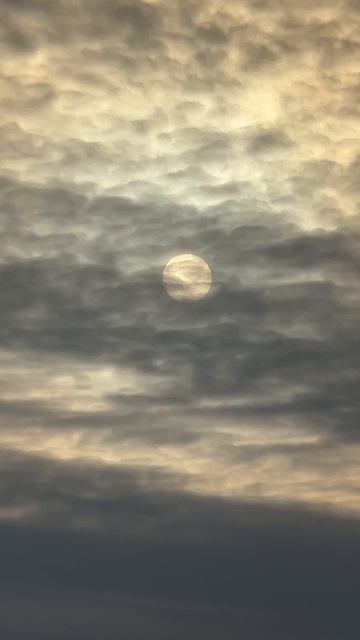 IMG_6939 смотреть онлайн