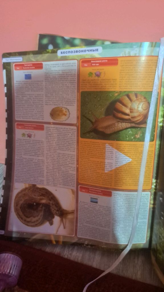 Читаю книжку про улиток часть 1 смотреть онлайн