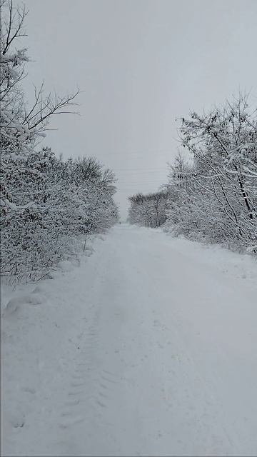 30.01.2026. На улице красота! смотреть онлайн