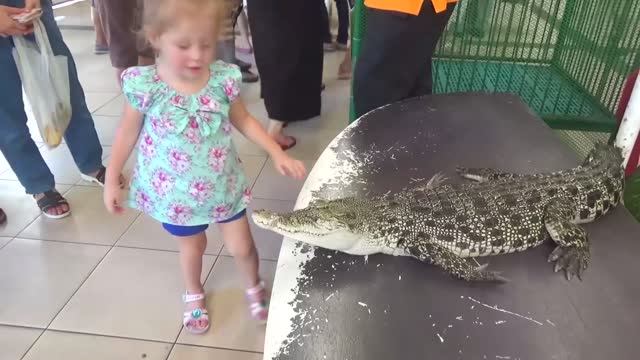 Катаемся на слонах и кормим рыб из сосочки смотреть онлайн