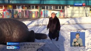 31 января «Вести-Чита» в 14:30