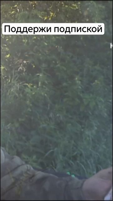 Рыбалка на реке.