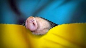 🔴Куев, везде ...💩...🔴