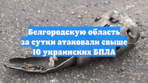 Белгородскую область за сутки атаковали свыше 10 украинских БПЛА