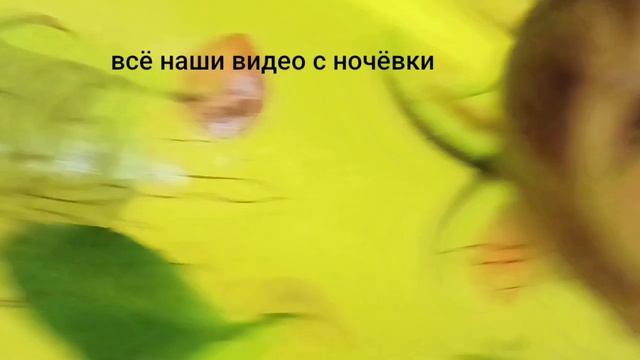 всё кадры #1 смотреть онлайн