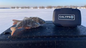 С ней видно все! Рыбалка в глухозимье, обзор новой камеры Calypso UVS-02 Pus.