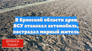 В Брянской области дрон ВСУ атаковал автомобиль, пострадал мирный житель