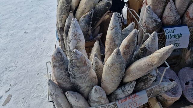 Цены на наружных рыбных рядах Крестьянского рынка г.Якутска 31 января 2026 года #yakutsk #fish смотреть онлайн