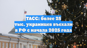 ТАСС: более 25 тыс. украинцев въехали в РФ с начала 2025 года