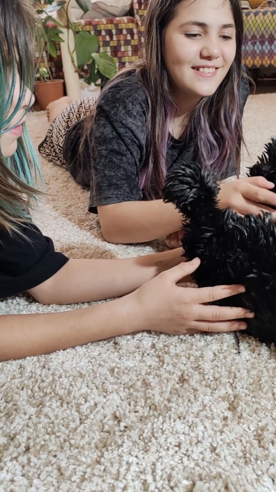 Декорашки падуан в окрасе чёрный мрамор😍 смотреть онлайн