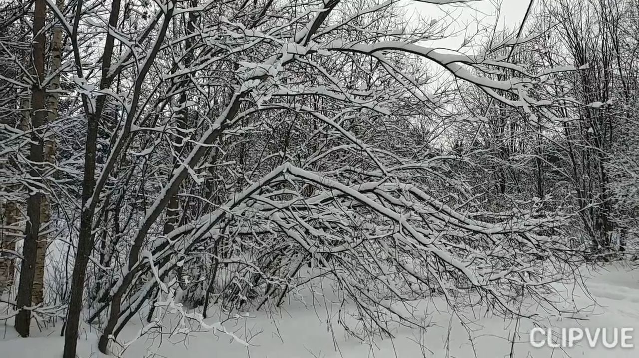 ПРИБЛИЖАЕТСЯ ФЕВРАЛЬ смотреть онлайн