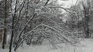 ПРИБЛИЖАЕТСЯ ФЕВРАЛЬ