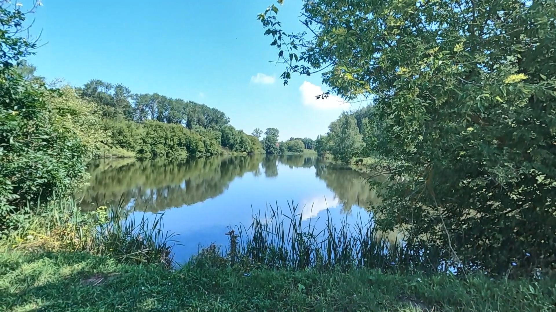 Рыбалка. Перекормили котика смотреть онлайн