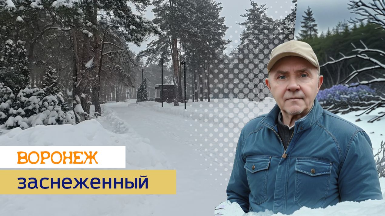Заснеженный Воронеж, 31.01.26г. смотреть онлайн