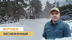 Заснеженный Воронеж, 31.01.26г.