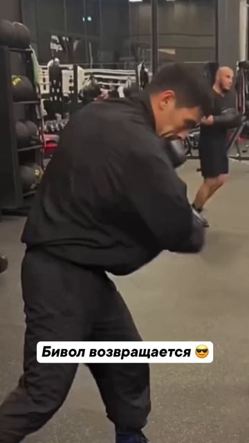 Ждём Бивола на ринге 🤩 смотреть онлайн