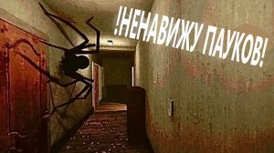 Не заводите пауков, это капец!