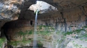 Удивительная природа.Часть 12❤️