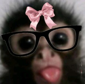 я люблю читать📖 книги