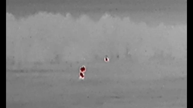 Видео от подписчика охотника Дениса с полем смотреть онлайн