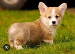 пишите вопросы