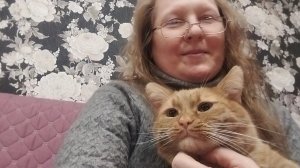 Музыкальное единение : Та самая песня, от которой мурчит даже кот