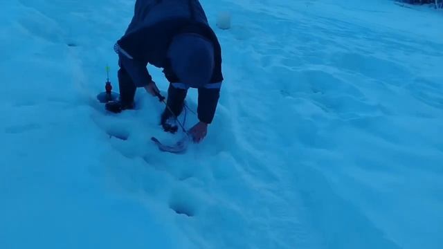 31.01.26 г. РК Волна. смотреть онлайн