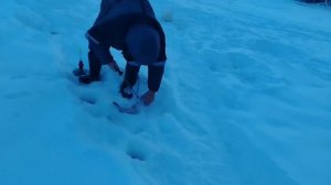 31.01.26 г. РК Волна.