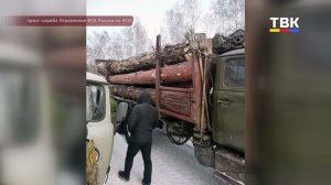 Незаконная рубка и коррупция: в суде — четверо обвиняемых, включая инспектора ДПС