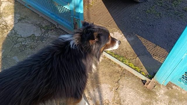 Кто куда а мы по делам смотреть онлайн