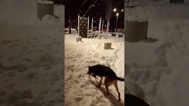 Гуляем. Лайза и Ник. смотреть онлайн