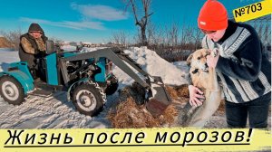 Деревенский день в Сибири. Трактор, сено, животные и работа с утра до вечера