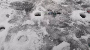 Рыбалка - прогулка на реке Дон, Хохольский район, Понтонный мост, Воронежская область 28.01.2026