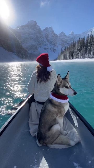 Здесь прекрасно все🥰 смотреть онлайн