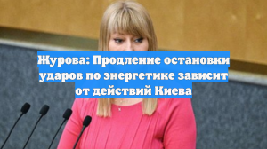 Журова: Продление остановки ударов по энергетике зависит от действий Киева