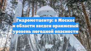 Гидрометцентр: в Москве и области введен оранжевый уровень погодной опасности