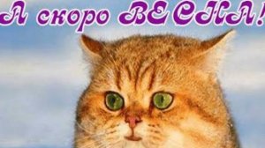 СП Вязальный переполох А скоро Весна Январь 2 с Еленой Велиной